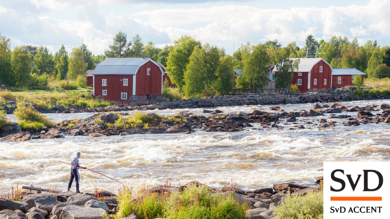 Bottenviken runt - en gemensam historia 13�21 juli 2026